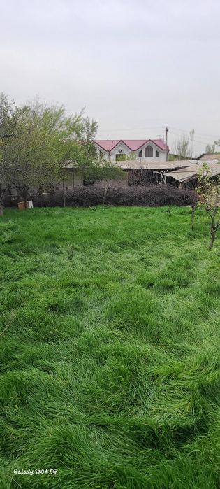 Киров махаллада ер сотилади