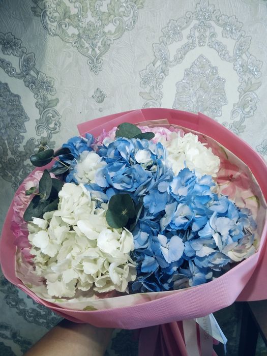 Цветы свежые гартензи