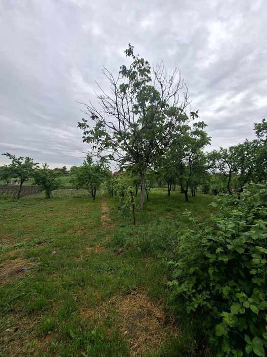 Casă cu Teren în Sacalaz