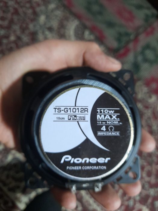 Pioneer 10cm 110w