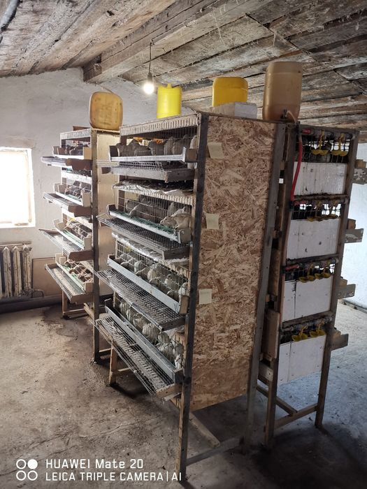 Уй сатылады. Продаётся дом.