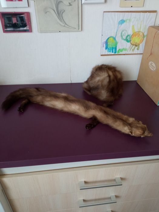 Яка и шапка от норка