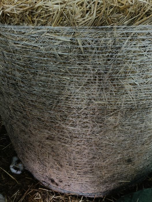 Baloti de paie tinuti la adapost 120.120