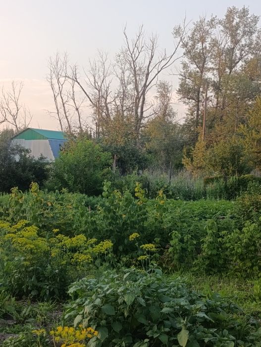 Продам  две дачи районе желаева