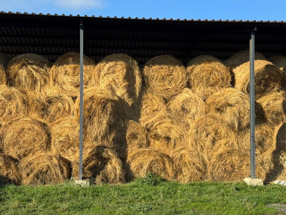 Baloti  rotobali de fan