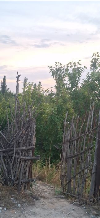 Progress (Fayzobod)dan Dacha Sotiladi