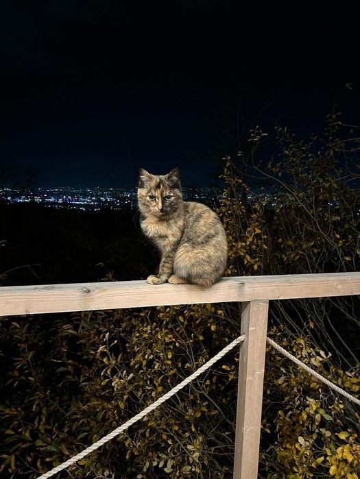 Уютный домик для двоих в горах