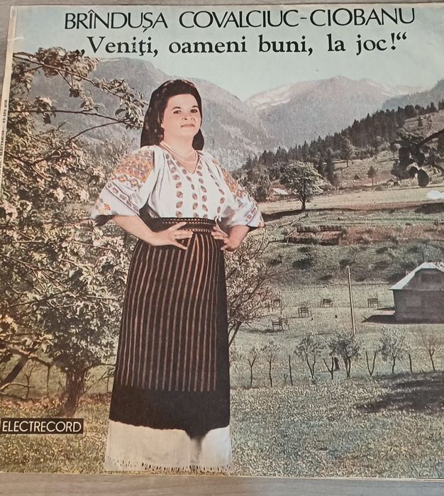Viniluri muzica populara