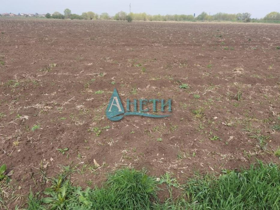 Продава се Парцел в с. Равно поле, Област София-област - 4400 кв.м за 55 €/кв.м - Снимка #1