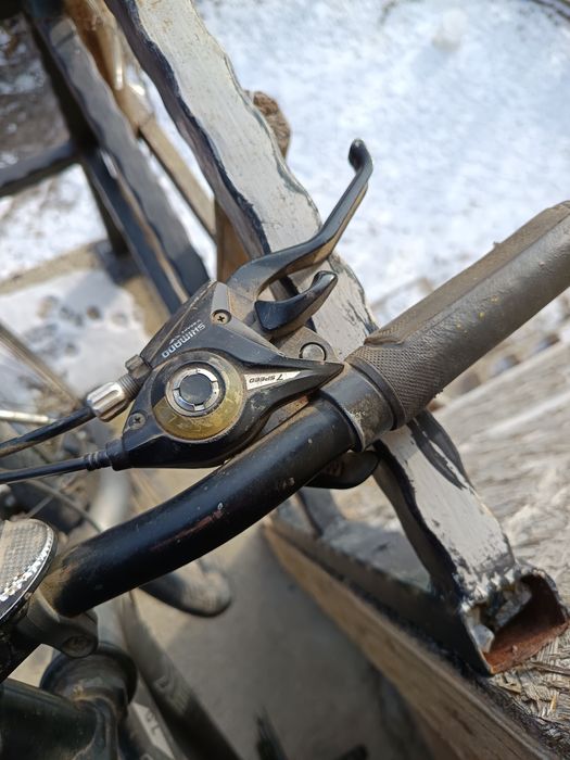 Bicicleta  semicursiera