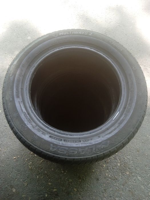 Lassa  bolon turkiya