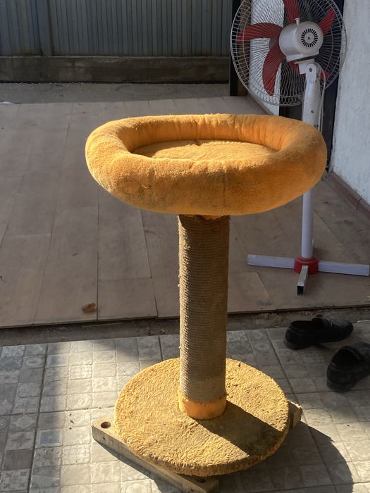 Домик для кошки в хорошем состояний,недорого