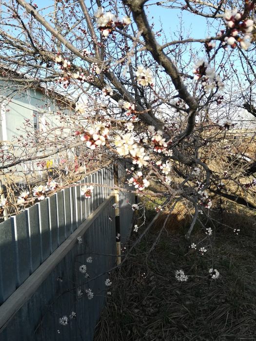 Работа по саду и огороду!
