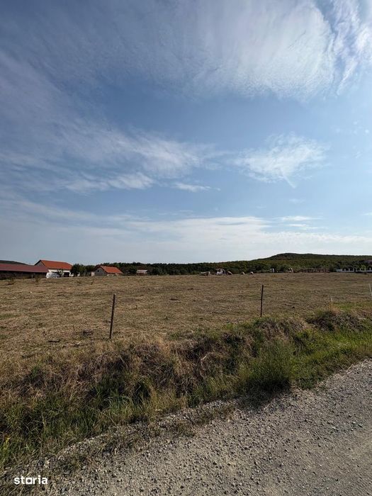 Teren intravilan 2 Ha -Ortelec parcelabil 2800eur/ar neg