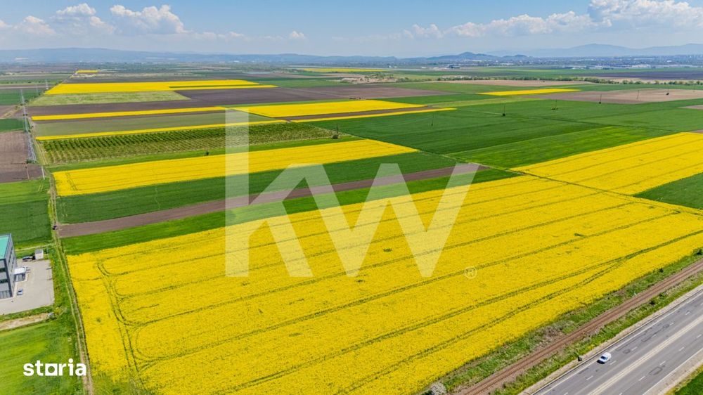 Teren 10.600 mp in Codlea – ideal pentru investitie industriala