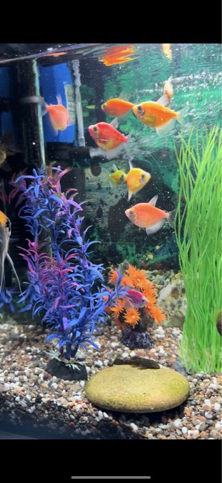 Продам аквариум