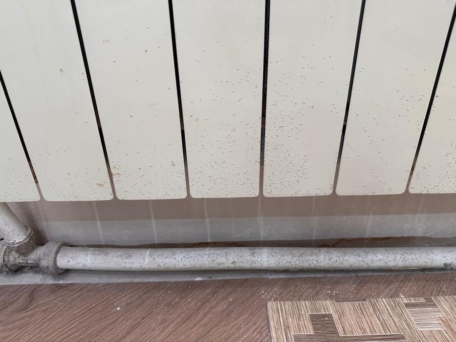 Аренда пароочистителя