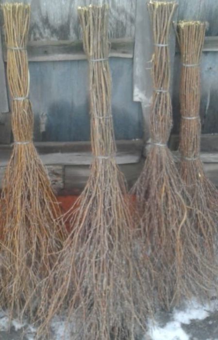 Продам метёлки веник