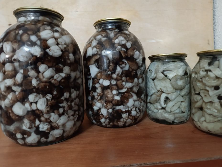 Продам грибы.валуи