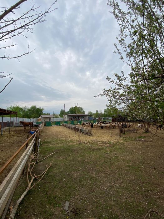 Продается фазенда