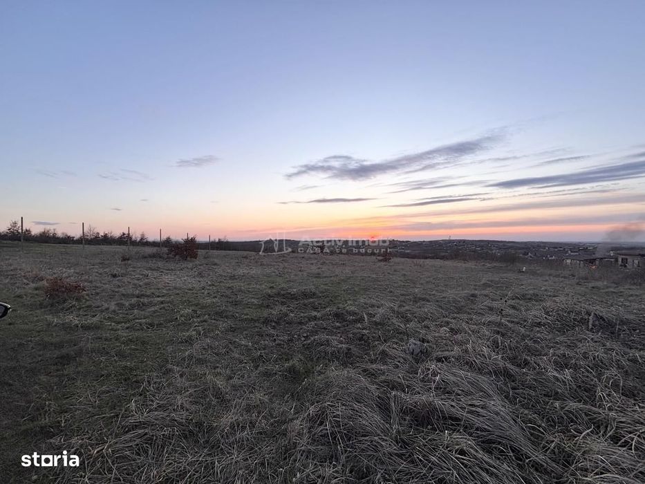 Teren Intravilan 624 mp Saldabagiu de Munte - Paleu
