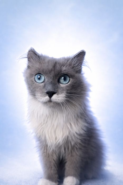 Пудра ищет семью. 8 месяцеы