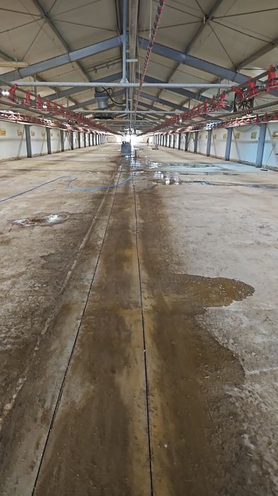 Taiat Taiere Decupare beton piconare carotare beton carota