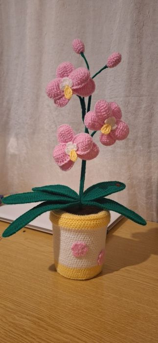 Орхидеи вечно красиви