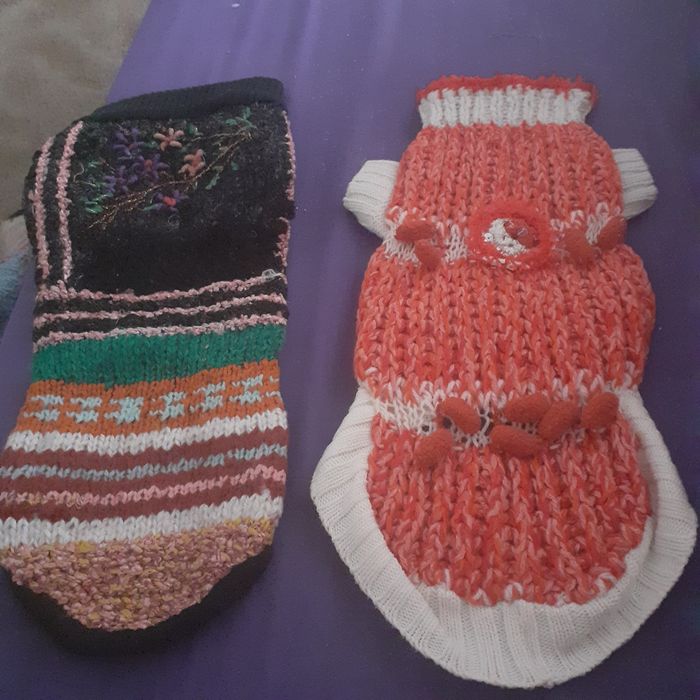 Tricotatez hăinuțe pentru căței