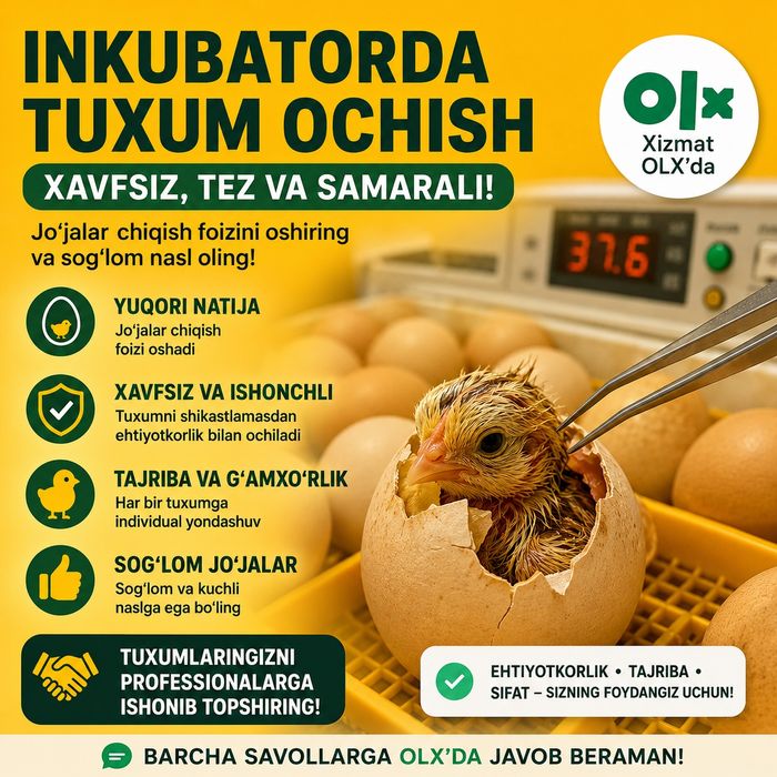 Inkubator ochtirish hizmati