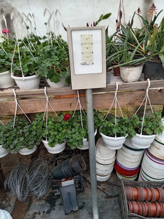 Neon pentru stâlp de iluminare