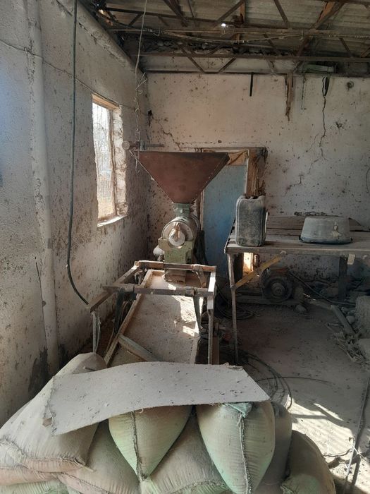 Un va sholi tegirmoni