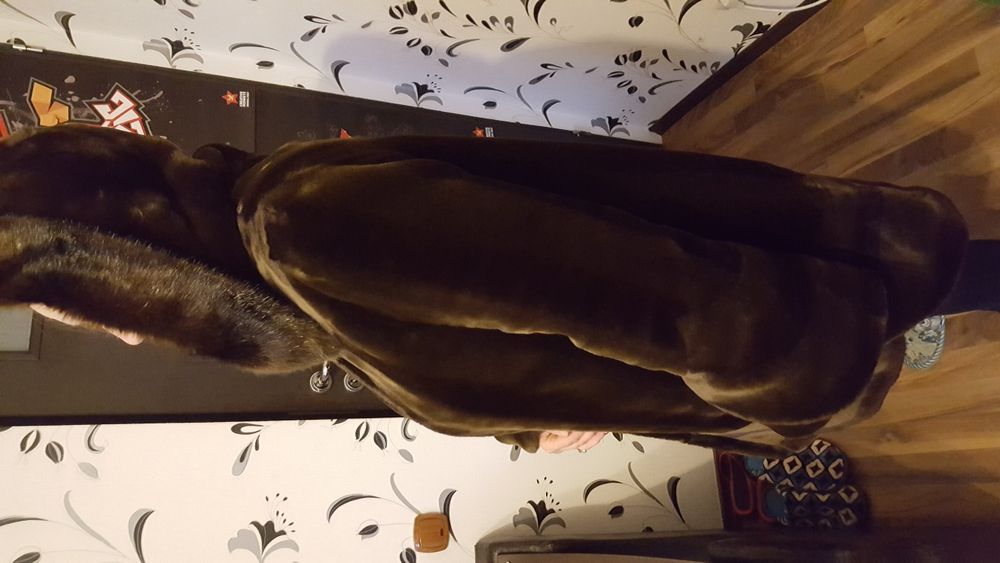 SUPER OFERT!haina de blana