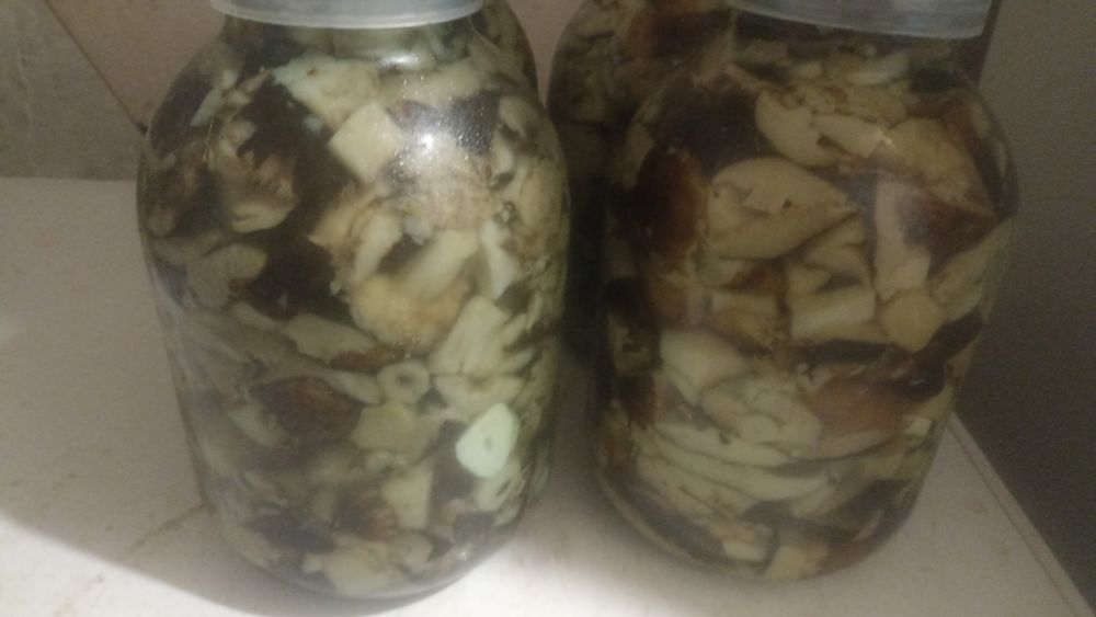 Продам  валуи маринованные