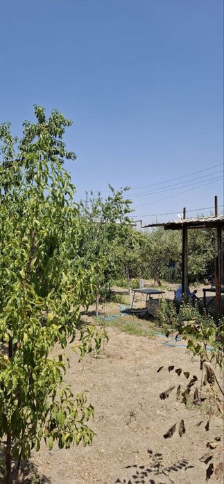 Mirzo ulugbek tumani chingildi yangi o’zbekiston