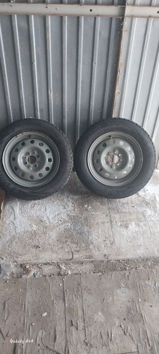 Қысқы шипы дөнгелек