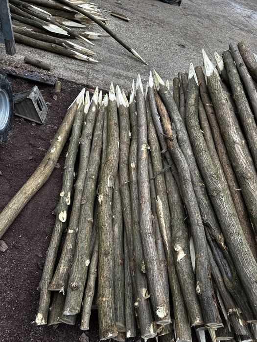 Vănd stalpi de Salcâm