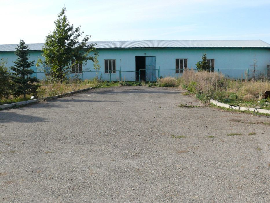 Продается дом с участком 3 гектара