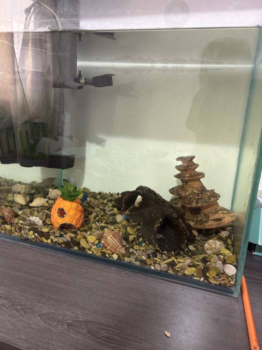 Аквариум 100 литров