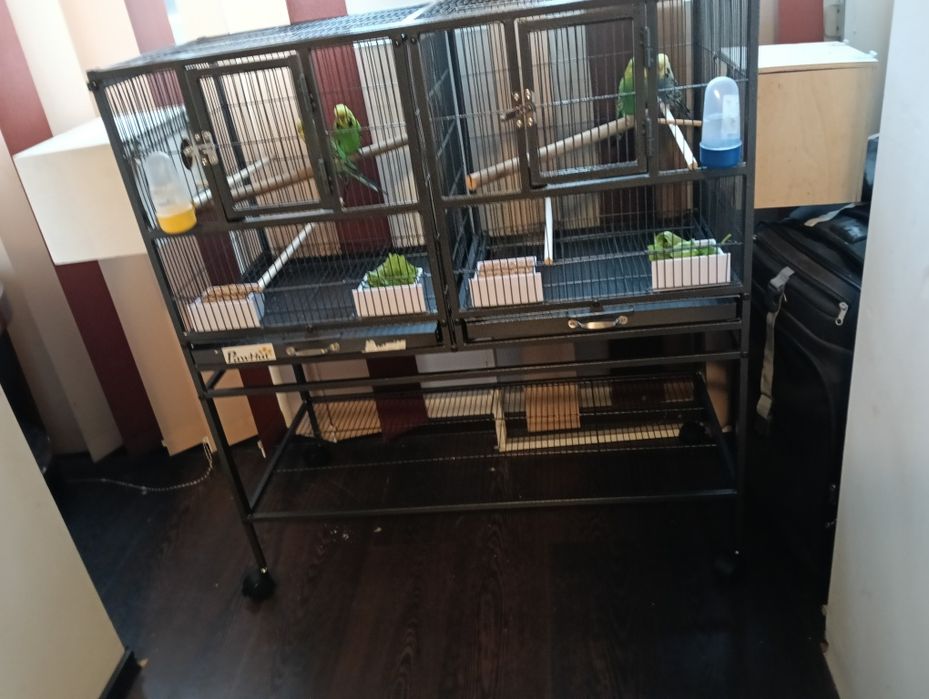 Vând cușca mare pentru păsări
