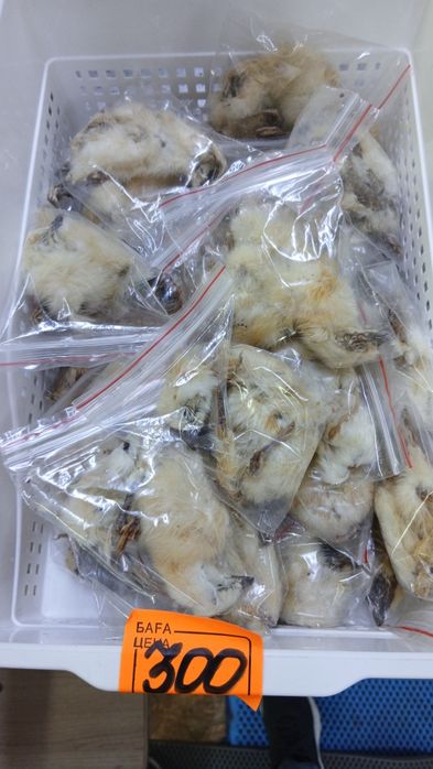 Лакомства для собак