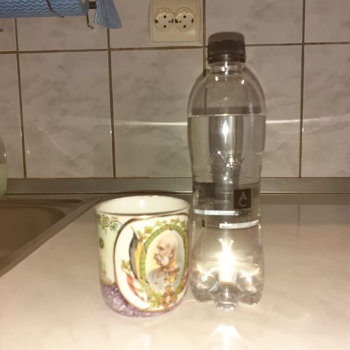 Cana portelan austria moritz zdekauer