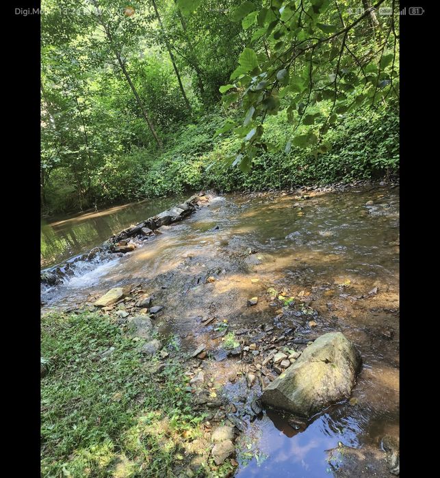 Teren intravilan 341 mp cu 2 containere – Pădurea Neagră