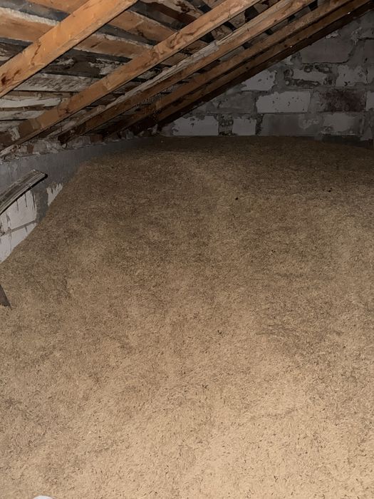 Vând ovaz calitate extra