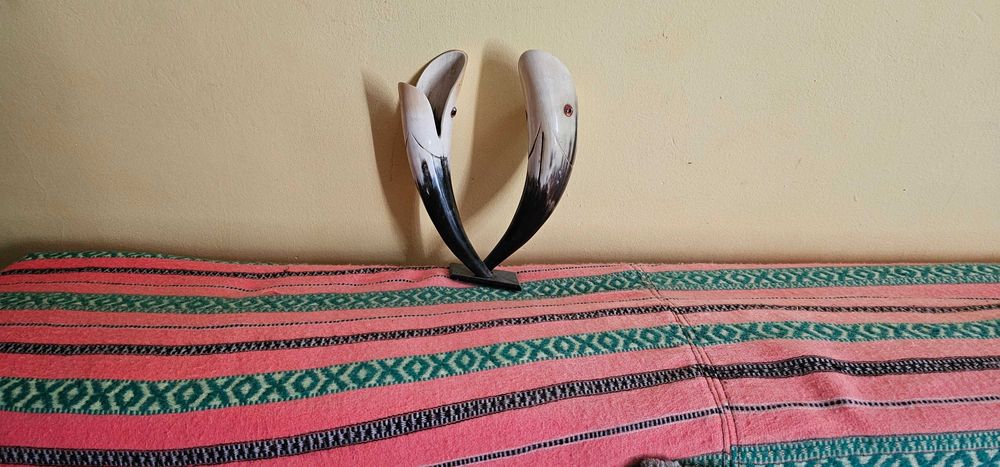 scluptura in corn de animal pesti posibil zodie