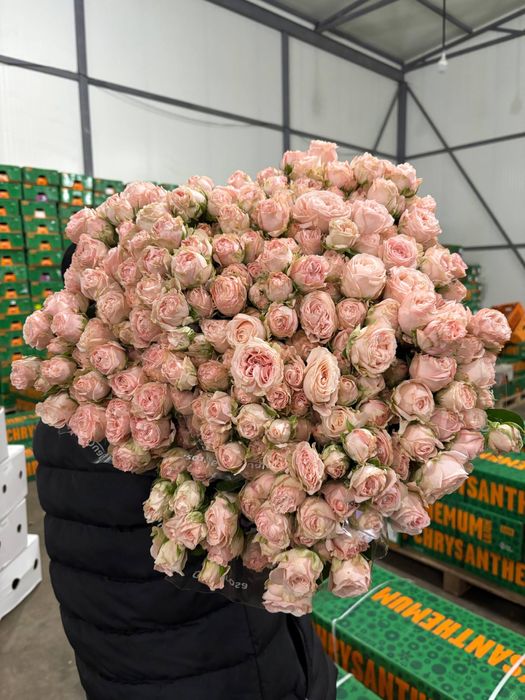 Цветы,доставка цветов,пионы,букет роз