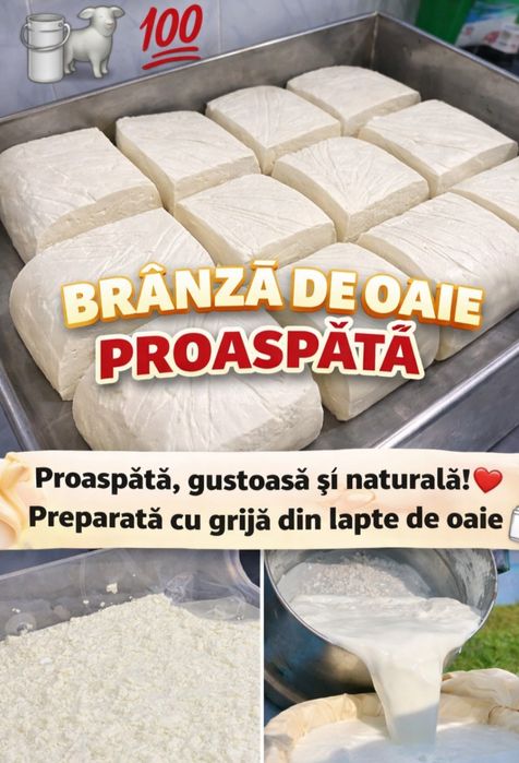 Brânză proaspătă de oaie