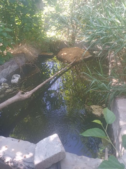 Продается дача 30 соток