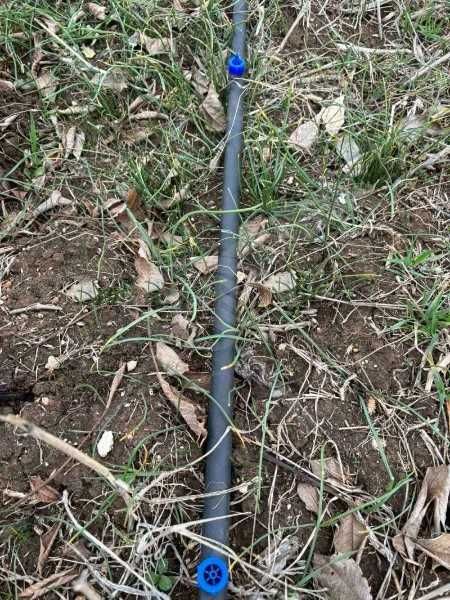 Продава се Парцел в Карлово - 21000 кв.м за 5 €/кв.м - Снимка #2