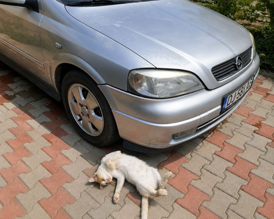 Caravanul nu te lasă la greu!